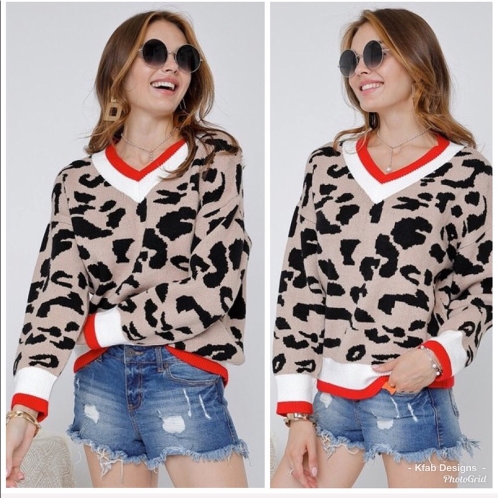 ❤️LAST 1! V Neck Multi Print Soft Leopard Sweater! - Picture 2 of 8